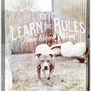 Meet your Posher, Debbie